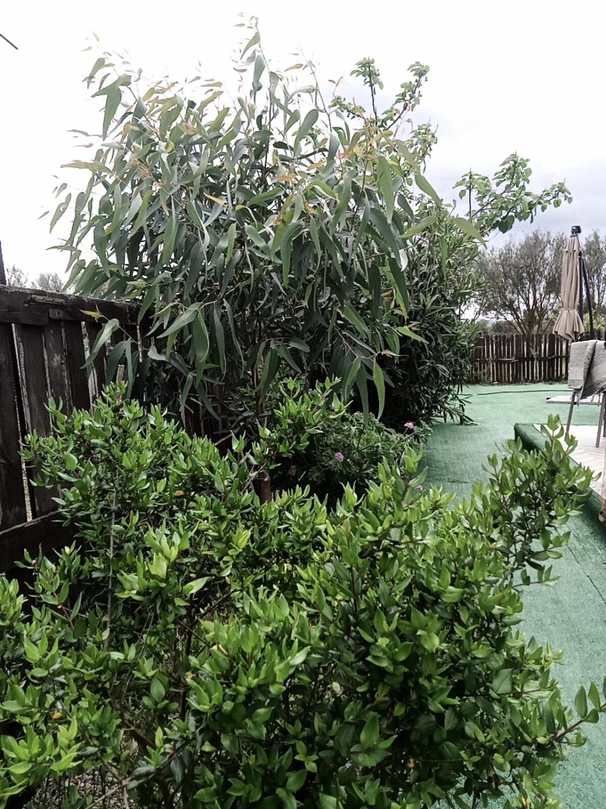 Podere Kiri Dome Experience Decimomannu Dış mekan fotoğraf